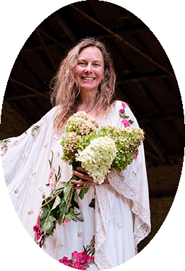 Website header introducing artist Carrie Schmitt